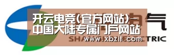 上汽电器
