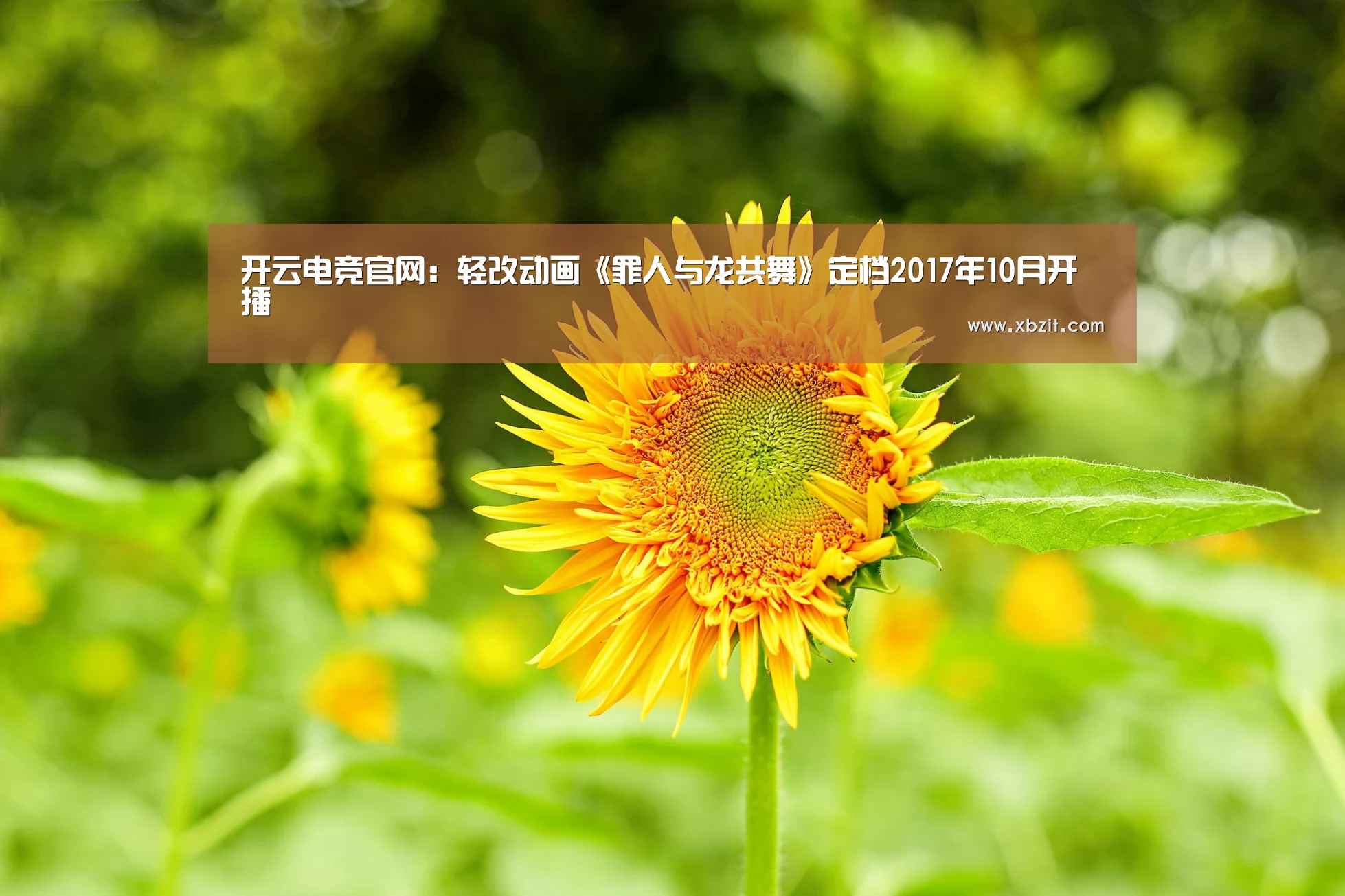 开云电竞官网:轻改动画《罪人与龙共舞》定档2017年10月开播(图2) 开云电竞