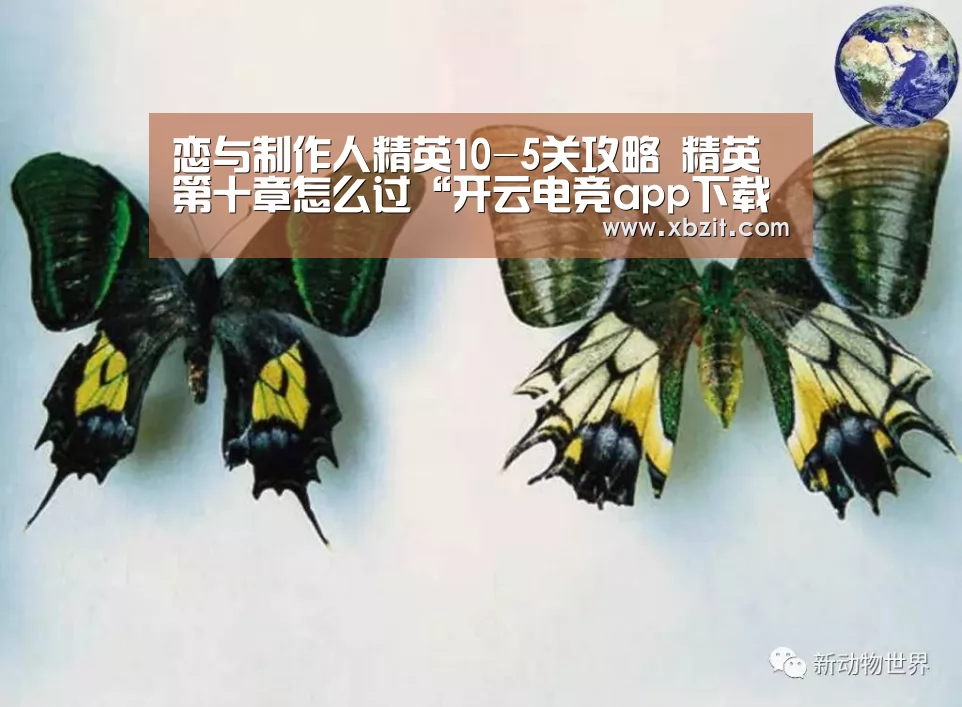 恋与制作人精英10-5关攻略 精英第十章怎么过“开云电竞app下载安装”(图3) 开云电竞