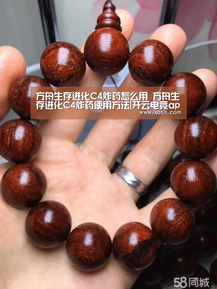 开云电竞