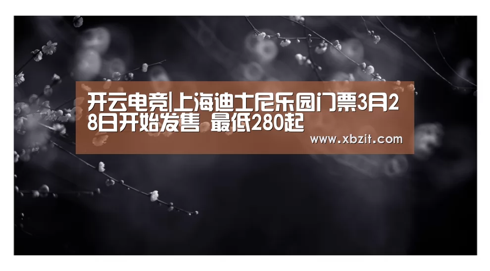 开云电竞官网