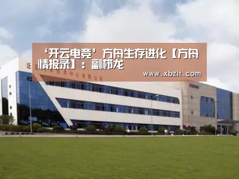 开云电竞官网