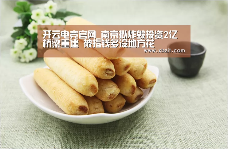 开云电竞官网_南京拟炸毁投资2亿桥梁重建 被指钱多没地方花(图2) 开云电竞