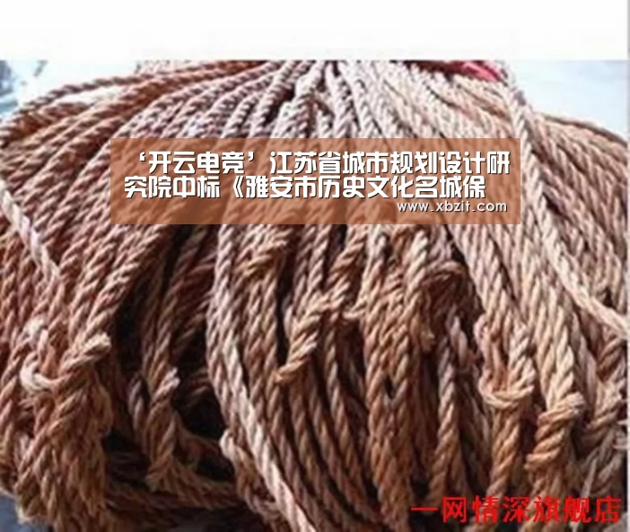 ‘开云电竞’江苏省城市规划设计研究院中标《雅安市历史文化名城保护规划》项目(图1) 开云电竞