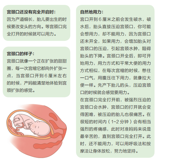 开云电竞官网_中国建筑召开2019年审计工作会议(图1) 开云电竞