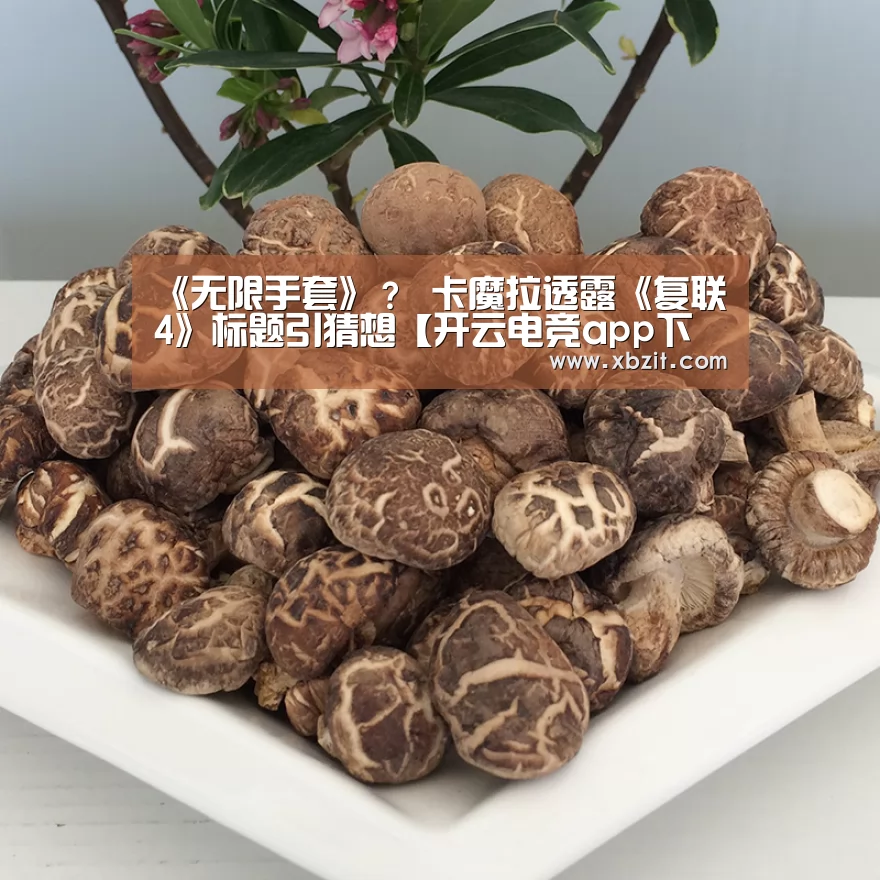 开云电竞