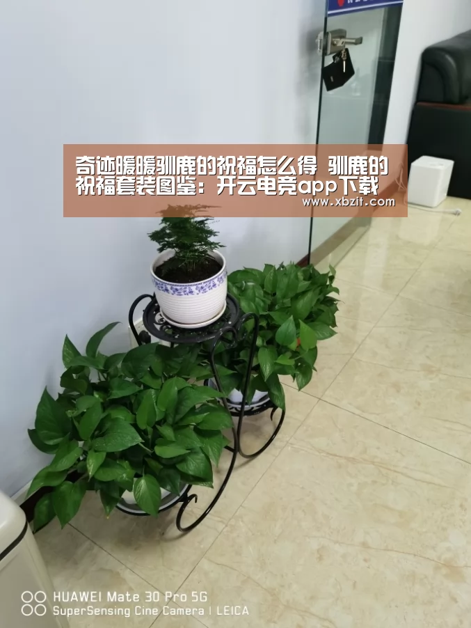 奇迹暖暖驯鹿的祝福怎么得 驯鹿的祝福套装图鉴:开云电竞app下载安装(图4) 开云电竞app下载安装